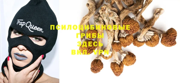 2c-b Кинешма